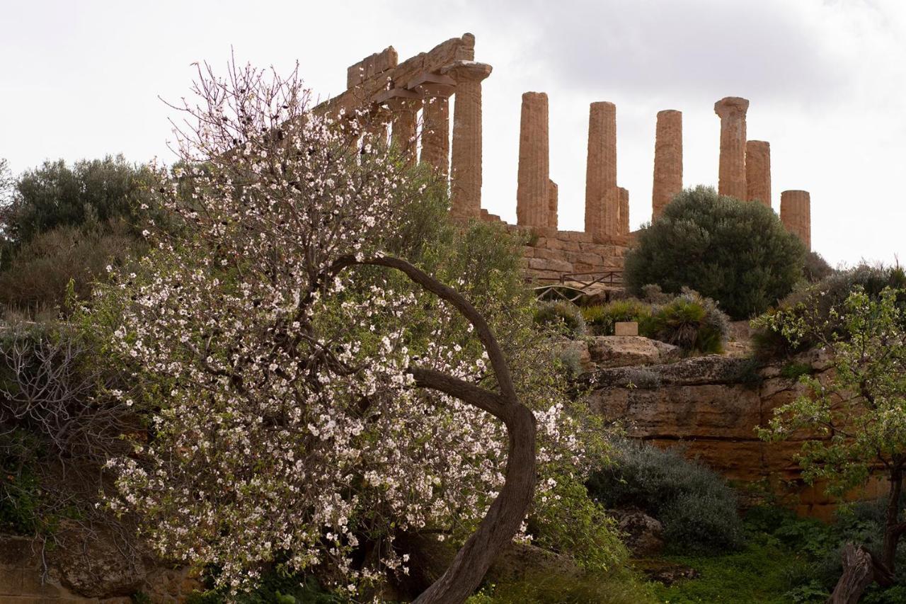 Il Portoncino ^ Apt.^ Agrigento Exterior foto